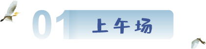 上午场