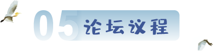 会议议程