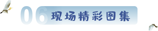 精彩图集