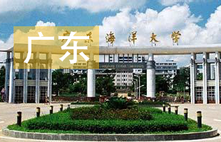 2016广东省高考录取结果查询