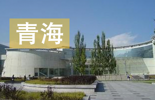 2016青海高考录取结果查询
